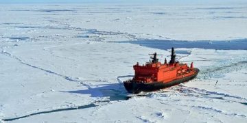 Арктика кричит. В океане раздаются звуки, которые настораживают учёных