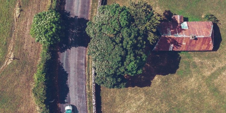 Что такое сервитут: особенности заключения договора