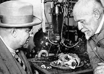 Оживительная сила. Как физиолог Кулябко заставил биться мертвое сердце