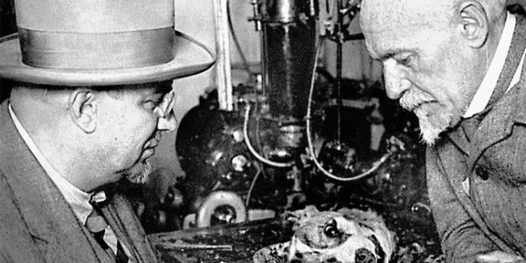 Оживительная сила. Как физиолог Кулябко заставил биться мертвое сердце