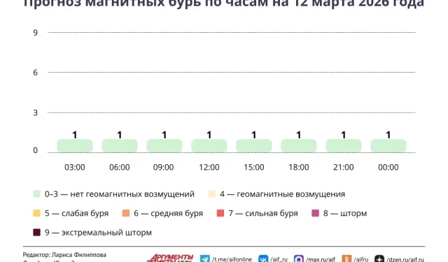 Прогноз магнитных бурь по часам на 12 марта 2026 года. Инфографика