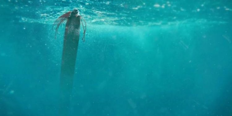 Ученые обеспокоены появлением трех рыб Судного дня близ США