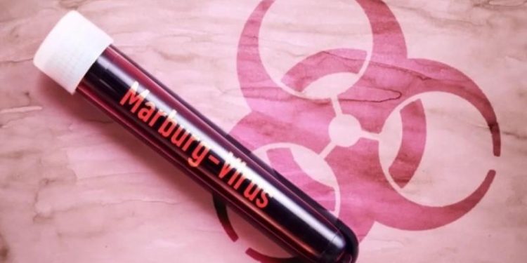 Ученые обеспокоены вирусом из Африки, вызывающим кровоизлияние в глаза