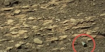 Ученый Леб раскрыл, откуда на Марсе мог появиться загадочный бумажный конус