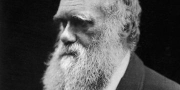 В архиве Кембриджа нашли ботанические материалы, по которым учился Дарвин