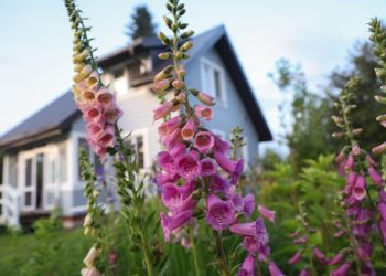 В «Авито» оценили рост спроса на ремонт и строительство на юге России