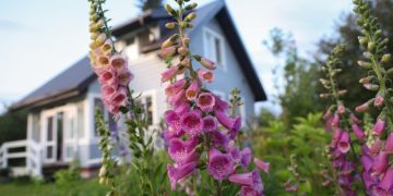 В «Авито» оценили рост спроса на ремонт и строительство на юге России