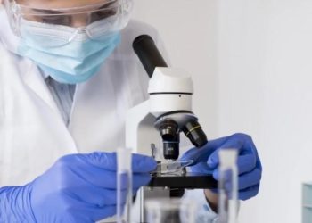 В Испании нашли способ восстановления памяти при болезни Альцгеймера