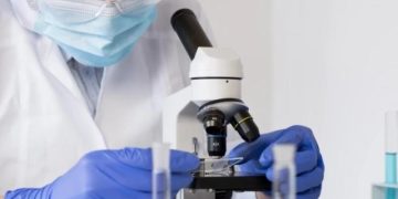 В Испании нашли способ восстановления памяти при болезни Альцгеймера