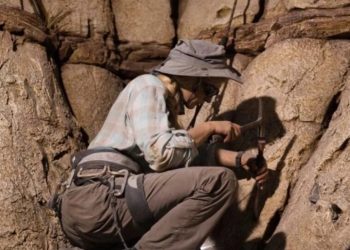 В Китае нашли окаменелые останки неизвестных рыб возрастом 244 млн лет