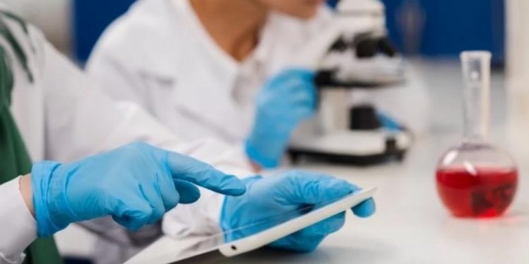 В Китае выявили бактериофаг, эффективно уничтожающий штаммы сальмонеллы