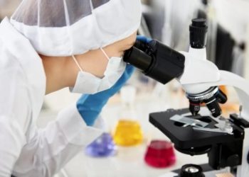 В России родился первый зачатый методом ЭКО жеребенок, его назвали Эконика