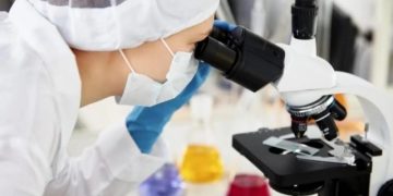 В России родился первый зачатый методом ЭКО жеребенок, его назвали Эконика