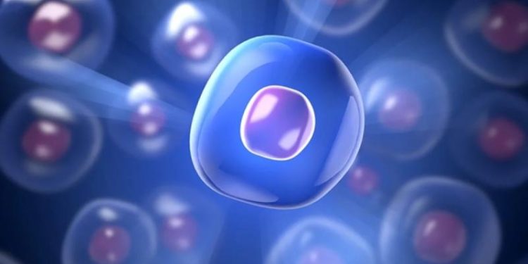 В США пройдут первые в мире испытания препарата от старения на людях