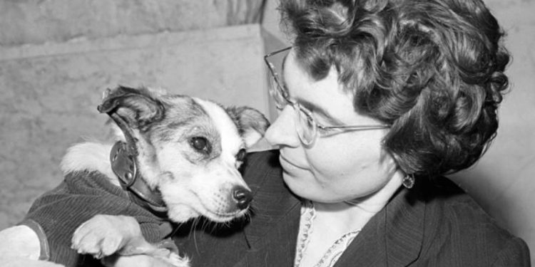 Восходящая Звёздочка. Как дворняжка слетала в космос за 18 дней до Гагарина