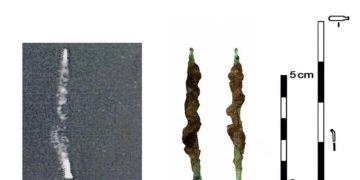Вот это поворот! Найден древний инструмент, опередивший время на 2000 лет