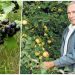 Вся сласть народу. Лучшую смородину вывел учёный Александр Астахов