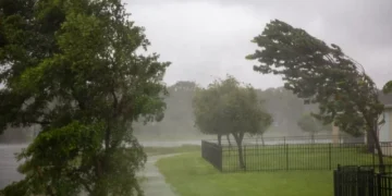 Что такое «шкала ураганов» и как ветрам присваивают баллы?