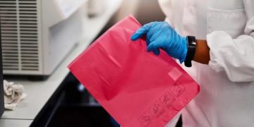 «Мешки» из плоти. В США собираются выращивать безголовых людей