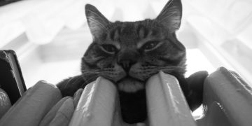 Отключение отопления в Саратове: нормативы и даты в 2026 году