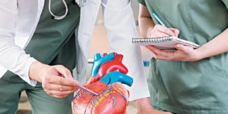 Синдром Курёхина. Science: ученые поняли, почему рак сердца крайне редок