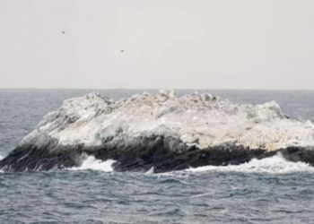 Ученые из ФРГ случайно нашли близ Антарктиды таинственный опасный остров