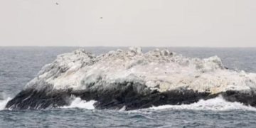 Ученые из ФРГ случайно нашли близ Антарктиды таинственный опасный остров