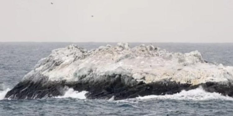 Ученые из ФРГ случайно нашли близ Антарктиды таинственный опасный остров