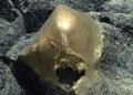 Ученые разгадали тайну инопланетного золотого яйца со дна океана у Аляски