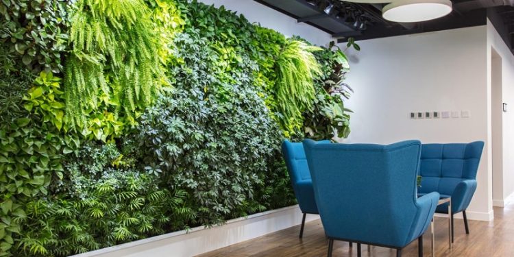 Вертикальное озеленение: что это такое, как сделать и подобрать растения