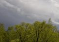 Ныряющий циклон. Ученый Родин объяснил, откуда такие резкие перепады погоды