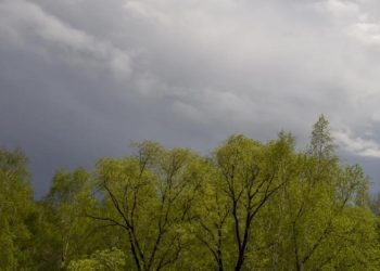 Ныряющий циклон. Ученый Родин объяснил, откуда такие резкие перепады погоды