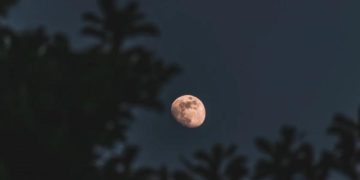 Астроном Киселев рассказал о двух способах перемещения человека по Луне