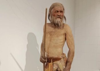 Эволюция в морозилке. В мумии «ледяного человека» Этци найдены живые грибки