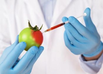 Мутанты на полях. ЕС разрешил фермерам выращивать «продукты Франкенштейна»