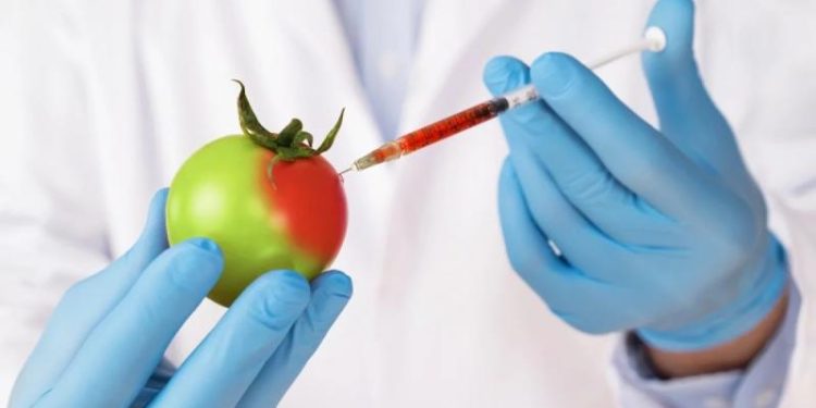 Мутанты на полях. ЕС разрешил фермерам выращивать «продукты Франкенштейна»