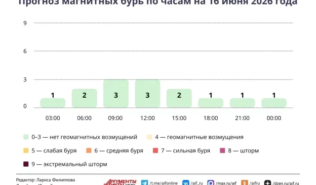 Прогноз магнитных бурь по часам на 16 июня 2026 года. Инфографика