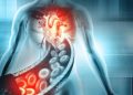 Science: иммунотерапию рака могут использовать против сосудистых бляшек