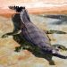 Скелет крокодила переписывает историю. Учёные пересматривают прошлое Земли