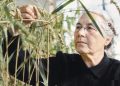 Сноп-лидер. Валентина Мамонтова стала легендой, выведя новые сорта пшеницы