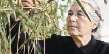 Сноп-лидер. Валентина Мамонтова стала легендой, выведя новые сорта пшеницы