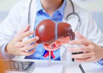 Ученые обнаружили защищающее печень от токсинов природное средство