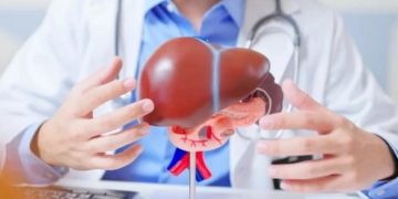 Ученые обнаружили защищающее печень от токсинов природное средство