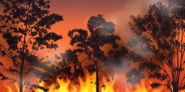 Учёные установили необычную закономерность в географии масштабных пожаров