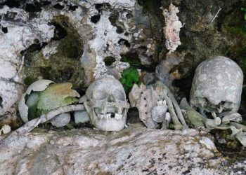 Зубы для царства мёртвых. Учёные объяснили шокирующий ритуал майя