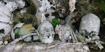Зубы для царства мёртвых. Учёные объяснили шокирующий ритуал майя