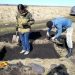 Археологи нашли укрепленное поселение бронзового века под Челябинском