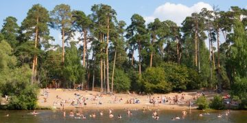 Где можно купаться в Москве в 2026 году: обзор пляжей