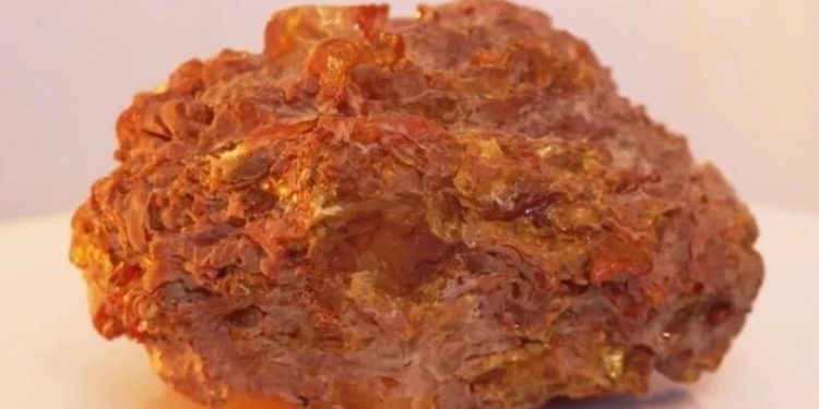 Янтарь возрастом 40 млн лет с корой и насекомыми добыли под Калининградом