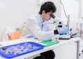 Первую синтетическую клетку с полным жизненным циклом создали в лаборатории